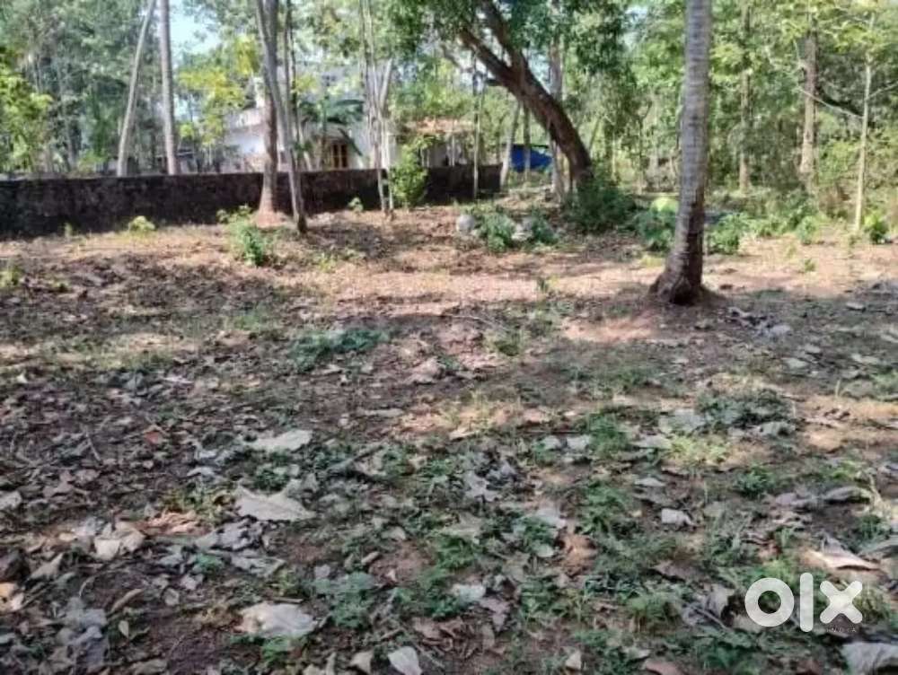 വീട് ഫ്ലാറ്റ് എന്നിവക്ക് അനുയോജ്യമായ 10 സെന്റ് സ്ഥലം വില്പനക്ക്