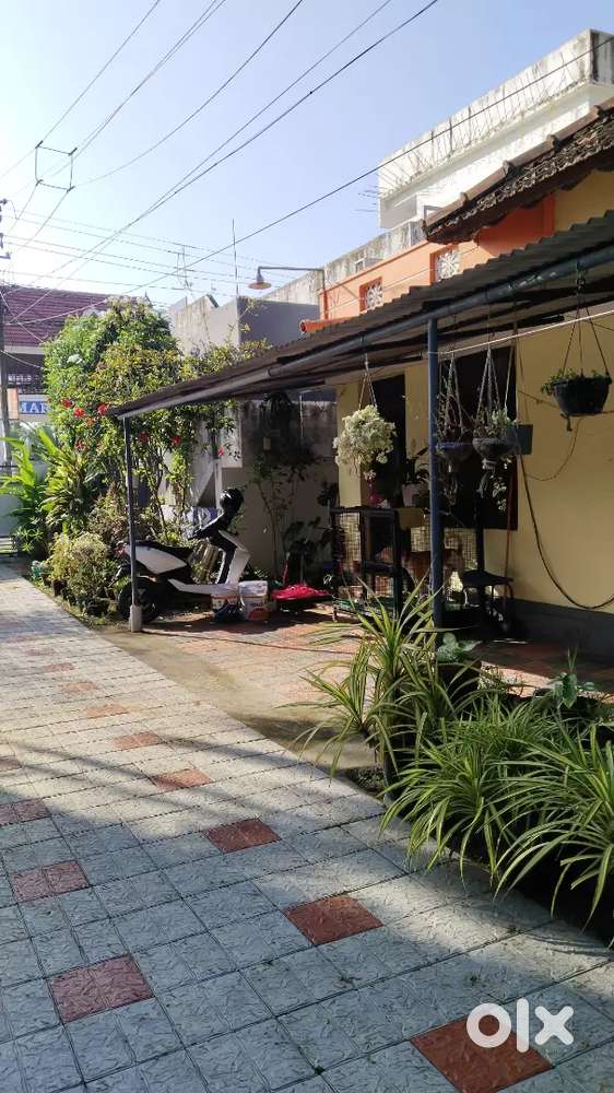 3 BR HOUSE FOR RENT@ 12000