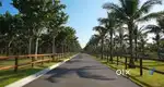 GOLDEN FARM Agar Wood plantion