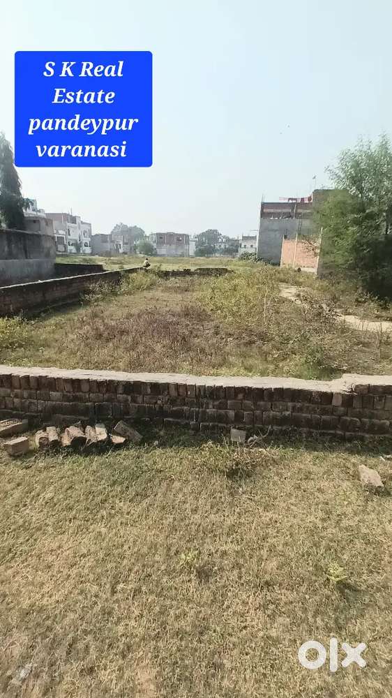 सारनाथ बुद्ध नगर कालोनी