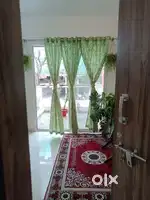 Looking for female bachelors