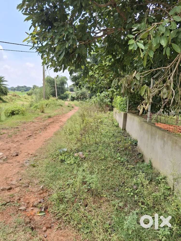 Premium land sale at Binuria Santiniketan