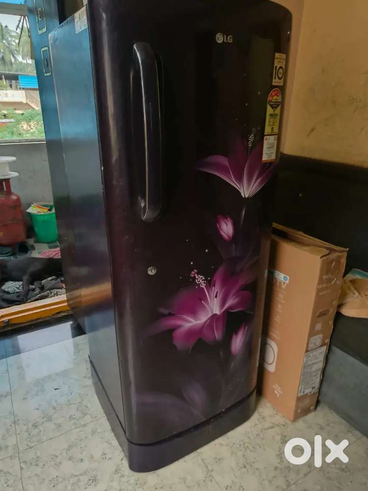 Lg fridge no problemes