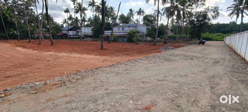 Ploted land at Poochinipadam