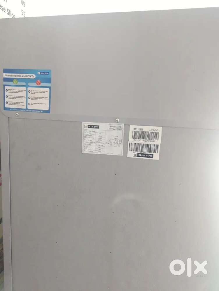 Bluestar deep freezer 4 months old