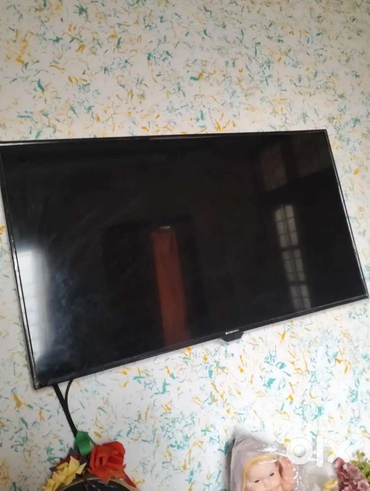 Zebronics TV