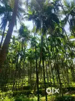 വെറ്റിലപ്പാറ ഒരേക്കർ good property