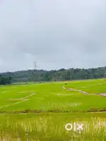 മാനന്തവാടിയിൽ റിസോർട്ടിന് അനുയോജ്യമായ രണ്ട് ഏക്കർ സ്ഥലം വിൽപ്പനയ്ക്ക്