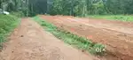Kaloor paingottoor thodupuzha 10 cent house plots for sale