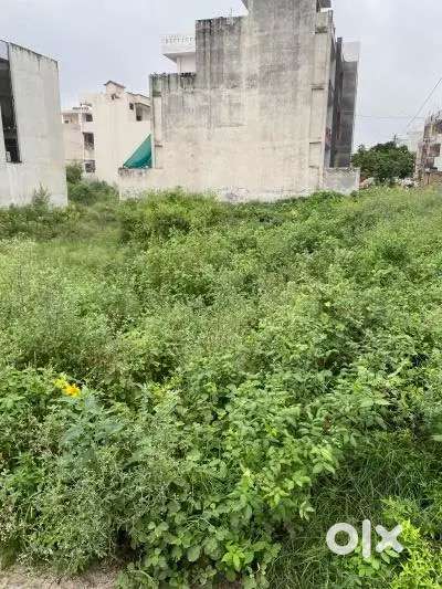 Plot no 1081 Sec 9 Bahadurgarh