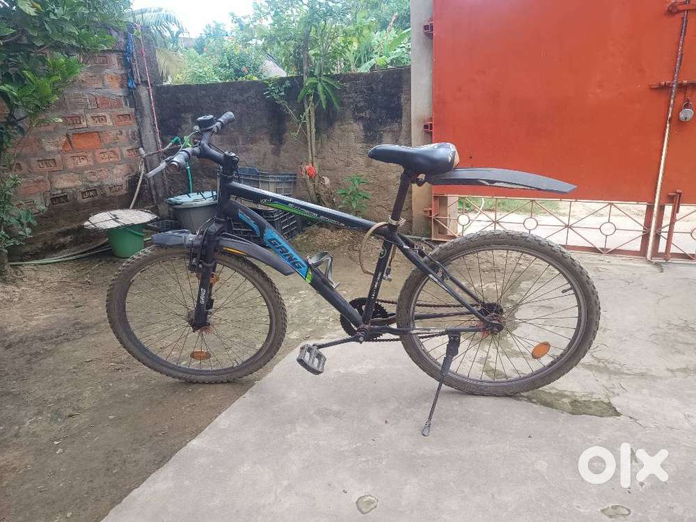 Gang extreme sports bicycle