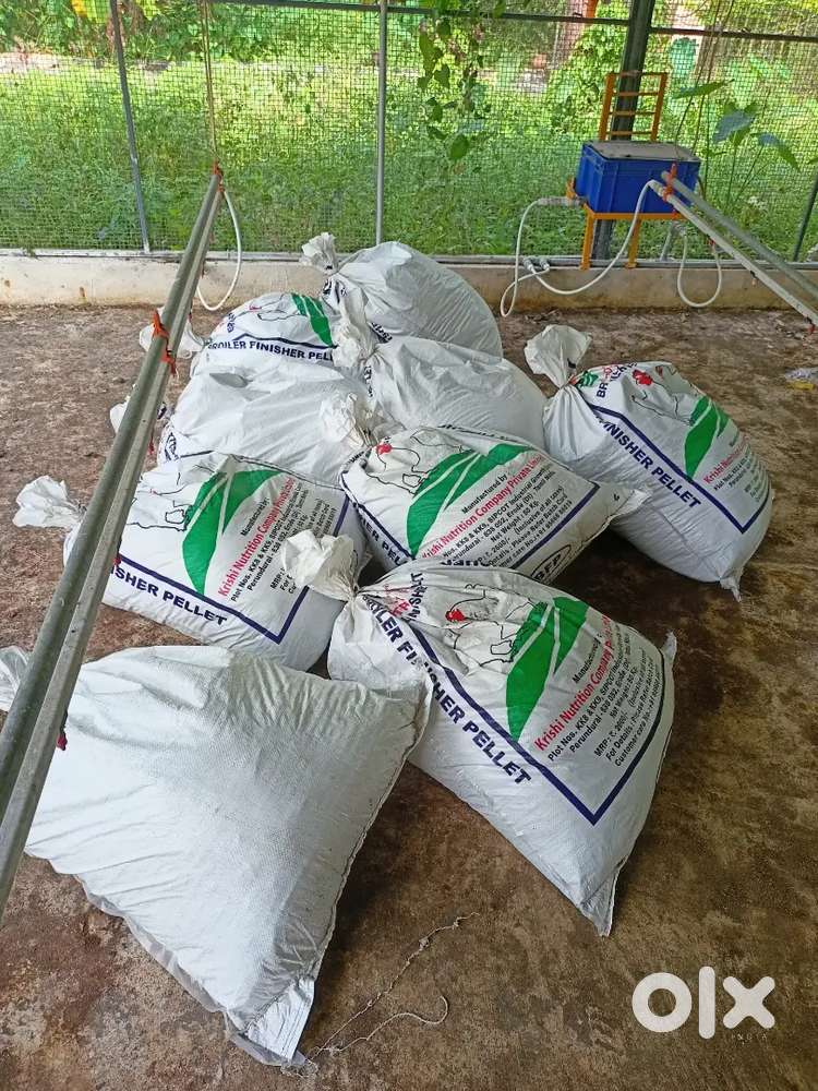 കോഴി വളം + ചക്കിരിചോറ് വില്പനയ്ക്ക്