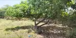 Farm House Corner Plot Surat Navsari Main Road Touch Society ma