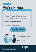 Required Field Sales Executive Urgently