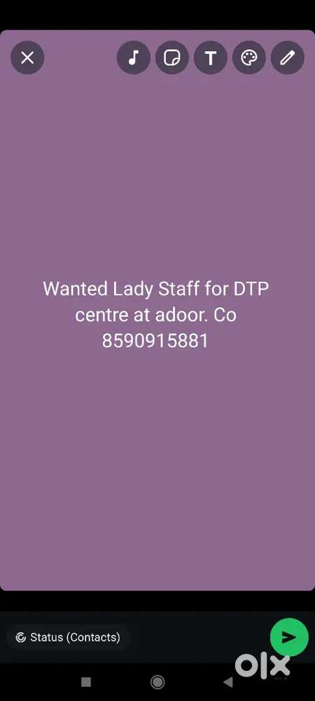 Dtp operator lady
