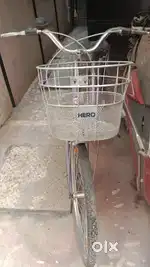 Ladies cycle