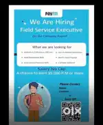 Field sales executive