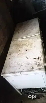 Pizza Convare, D Freezer Dual Door, Dow Machine