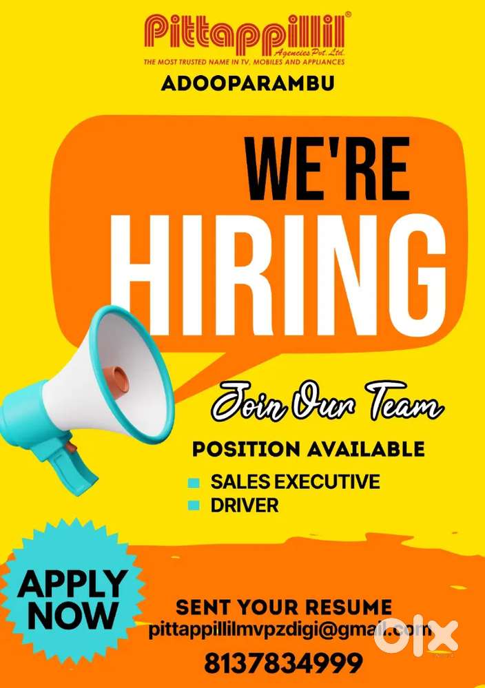 Sales Executive