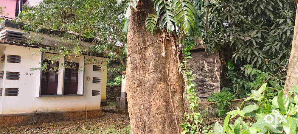 13 cents of land in a prime location in Pathanamthitta