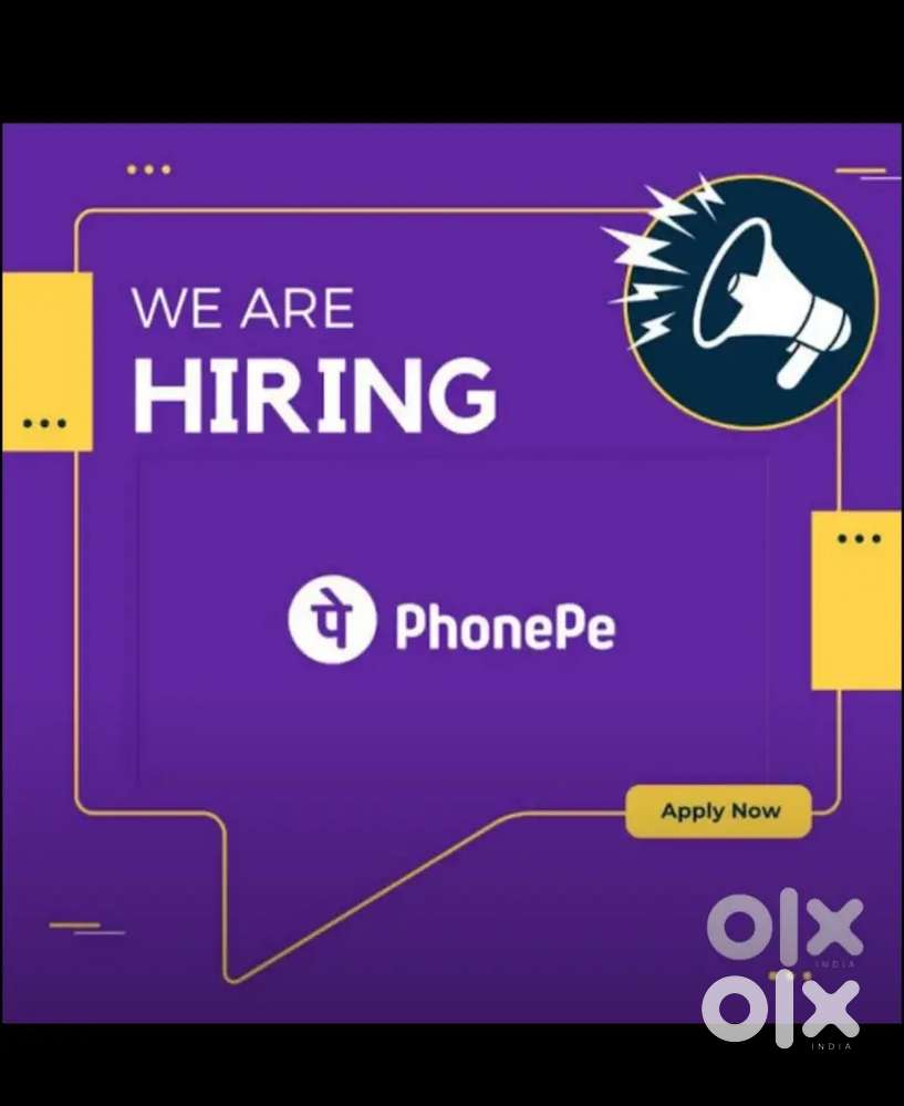 Phonepe company  sales executive
