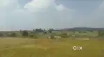 90 Acres Agricultural  Commercial Land – Chikkanayakanahalli