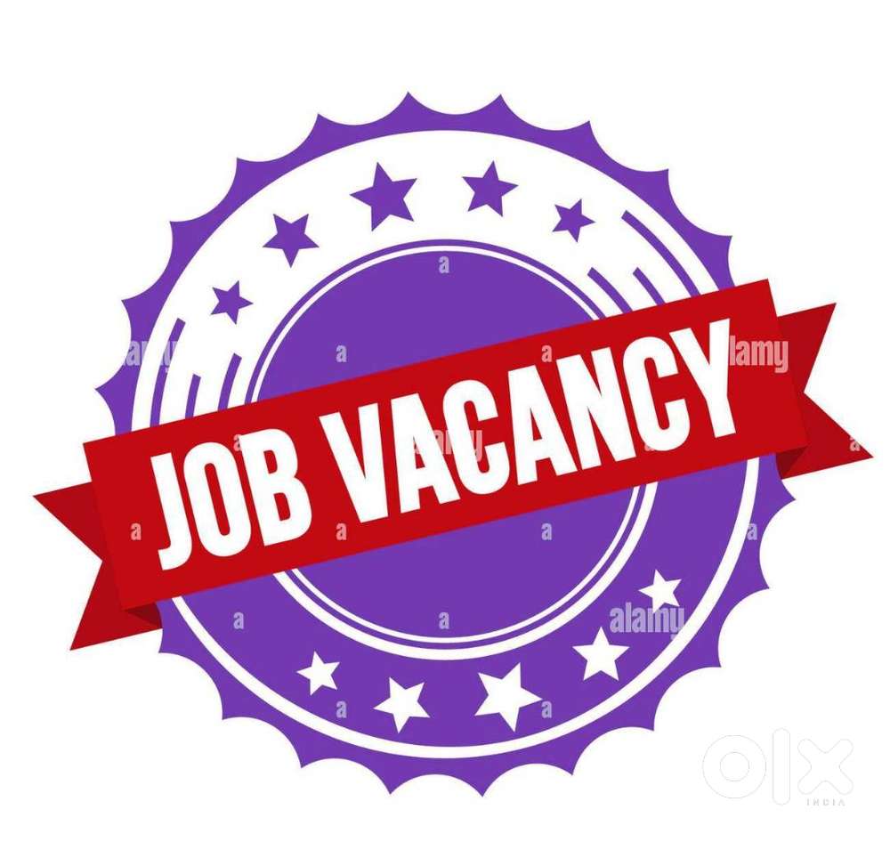 Wanted Recovery and 4 wheeler seizer & BOYS for Bank Authorized agency