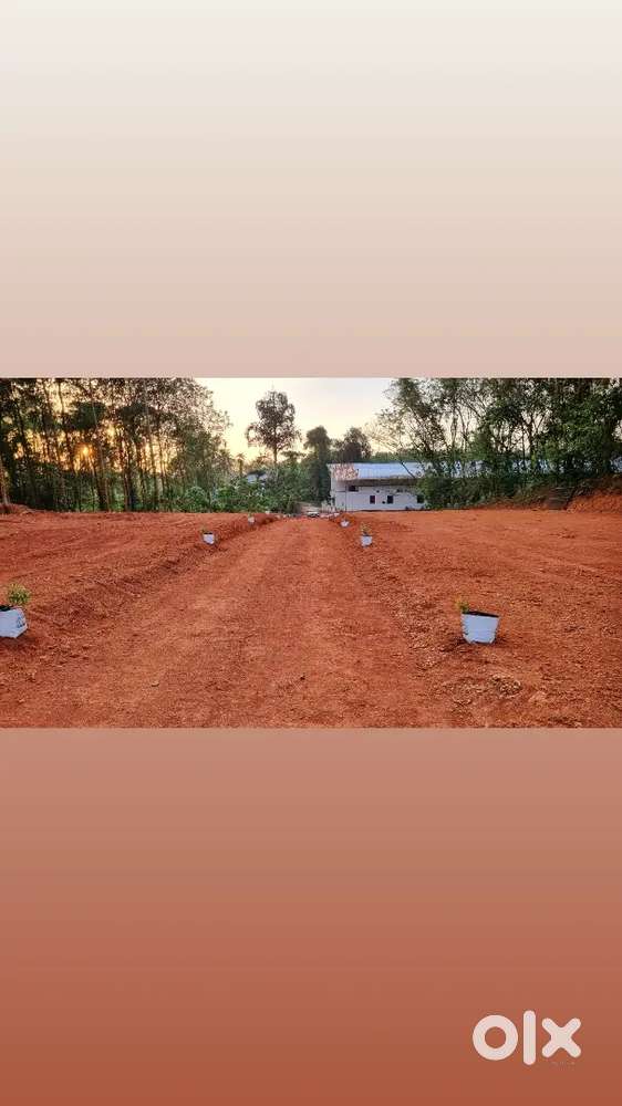 Premier Customizable Industrial Land (1 to 2 Acres) at Kolenchery