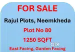 Urgent Sale Rajul Plots Neemkheda