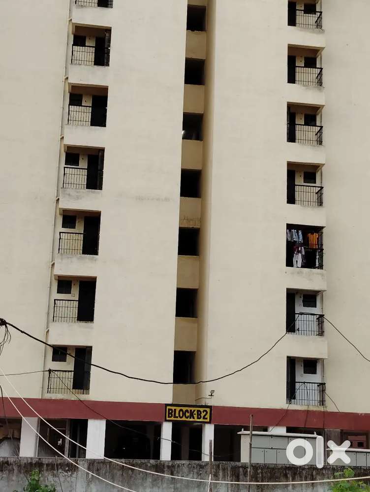 Near Hospital Narayana MMI Pachpedhi Naka Kaushlya Vihar