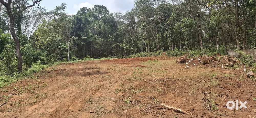 10,25 CENT HOUSE PLOT FOR SALE NEAR PAZHAMTHOTTOM