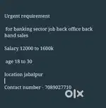 Tele calling/ field sales executive /