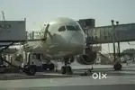 350+ seats Hiring Male Female Candidates in INDIGO AIRLINES