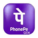 BUSINESS DEVELOPMENT EXICUTIVE AT Phonepe