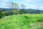 Land for sale at idukki