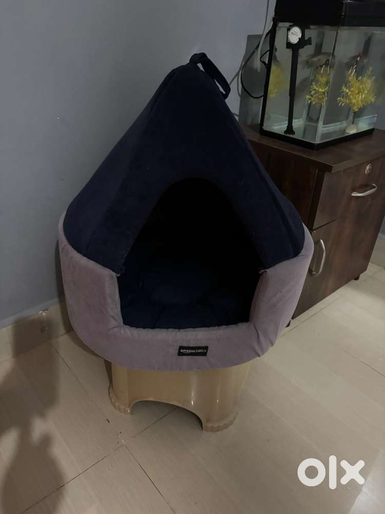 Cat home for sale