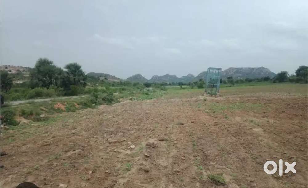 3 acers agriculture best for farm house