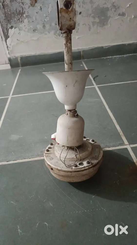 White colour fan