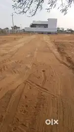 Best investment for your family