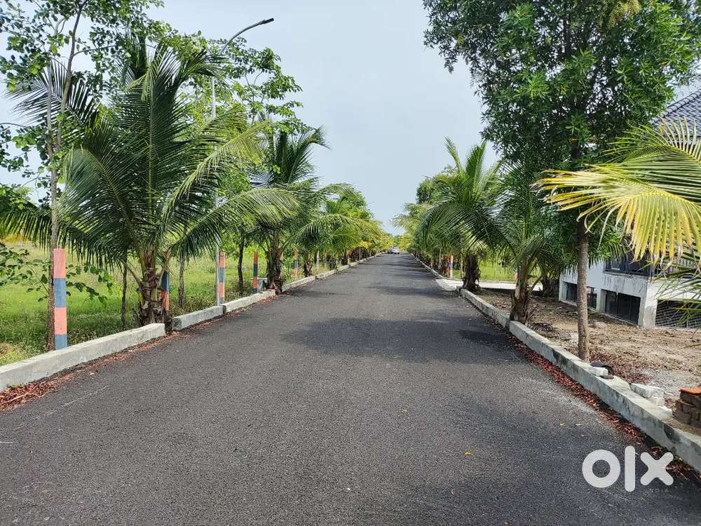 ₹1.75 Lakhs/Cent  Redwood Farms  Tindivanam National Highway