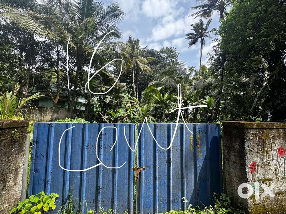 16 and 87 cent plot for sale
