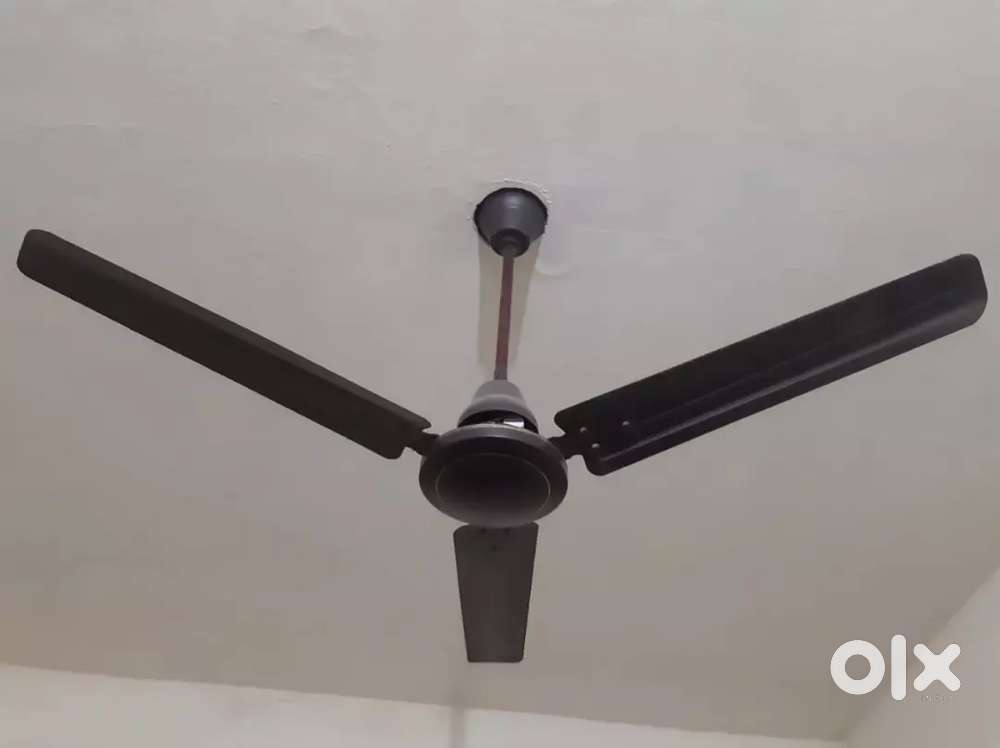 Two Ceiling Fans