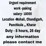 Paking , scaning Mohali chandigarh jobs