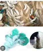 Fishing Nets