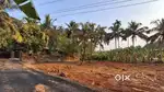 Plot for sale in perinthalmanna