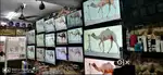 સૌથી સસ્તાના ભાવે 09' To 85' બધી સાઈઝના 2024 New LED-TV Grand Sale