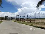 Elai Beach – Signature Seaside Plots