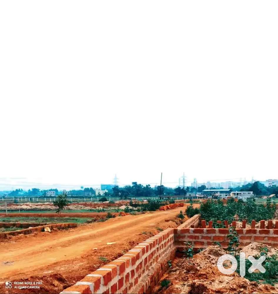 AIIMS City project 2