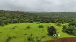 20 Guntha Farm House Plot @Roha, At Hills