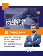 COLLECTION EXECUTIVE